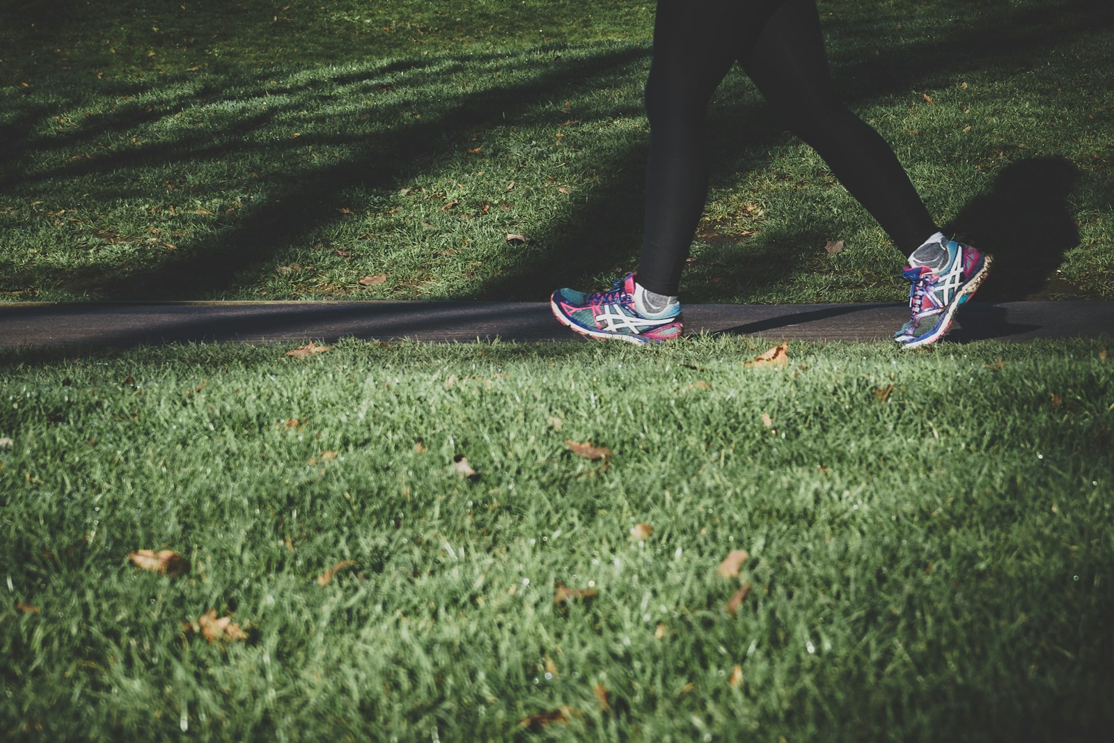 Best Beta-Alanine Supplements, Ranked