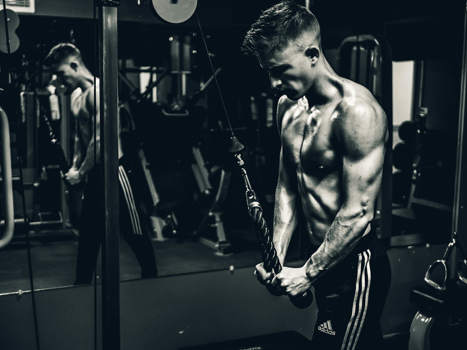 Best Post-Workout Nutrition Supplements, Ranked